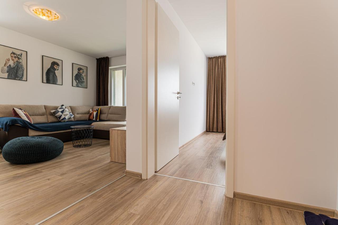 Coresi Modern Apartment Брашов Екстер'єр фото