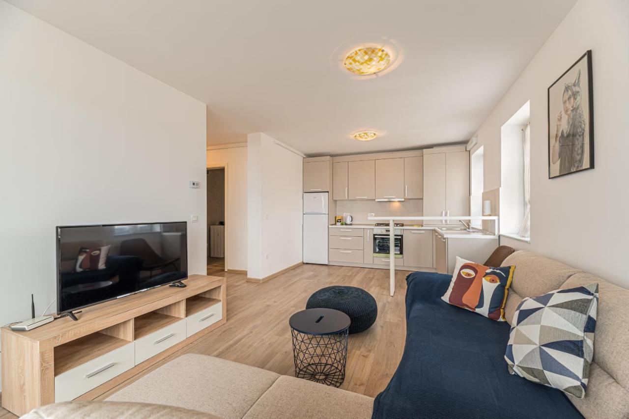 Coresi Modern Apartment Брашов Екстер'єр фото